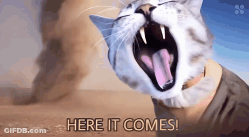 Man In Top Hat And Bow Tie Saying Here It Comes GIF