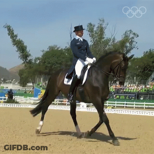 Man In Top Hat Riding Horse With Olympic Rings GIF