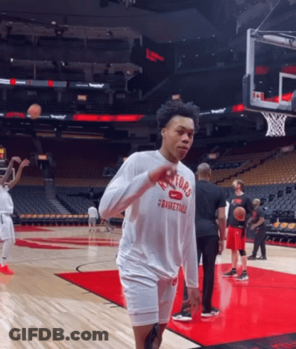 Man In Toronto Raptors Shirt GIF