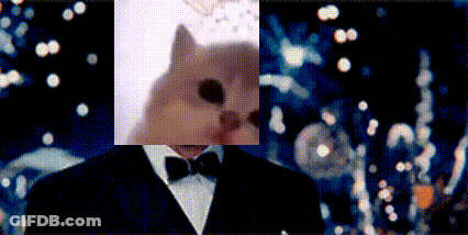 Man In Tuxedo With Dog In Background GIF
