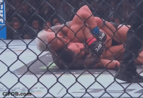 Man In UFC Gloves Holding Another Man In Cage GIF
