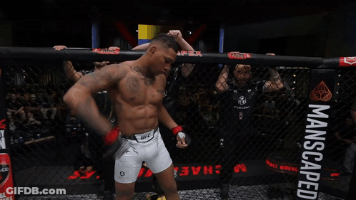 Man In UFC Uniform In Boxing Ring GIF