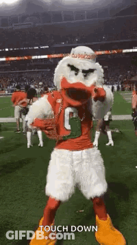 Man In Wagon With OU Flag GIF