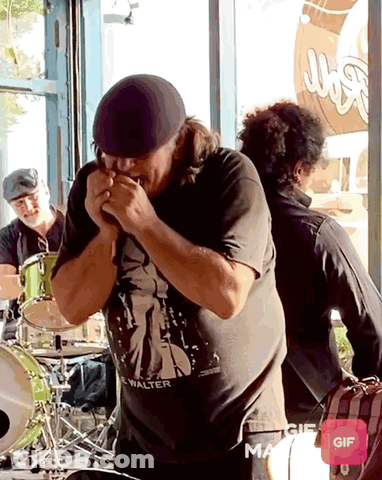 Man In Walter Shirt Playing Harmonica GIF