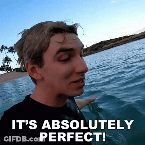 Man In Water Saying Absolutely Perfect GIF