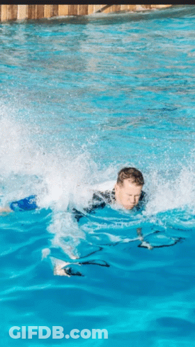 Man In Wetsuit Swimming GIF
