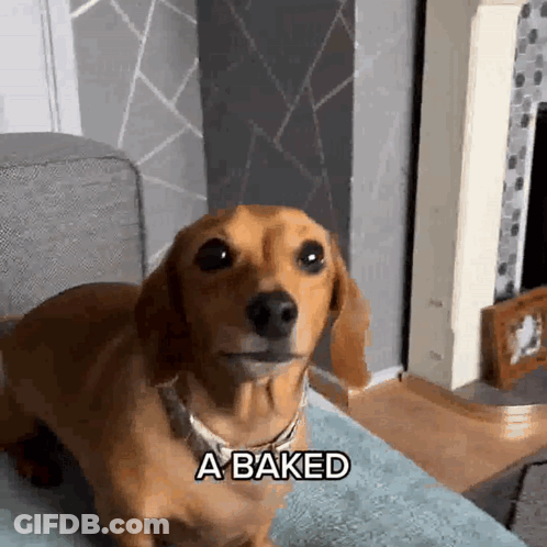 Man In Wheelchair Says I'll Treasure It Forever GIF