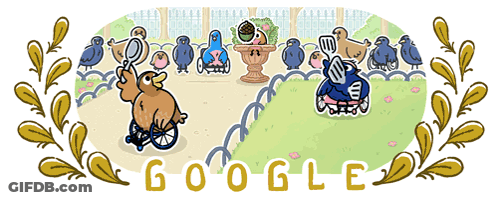 Man In Wheelchair Surrounded By Birds Saying Google GIF