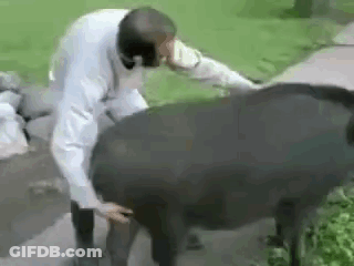 Man In White Coat Petting Black Animal GIF