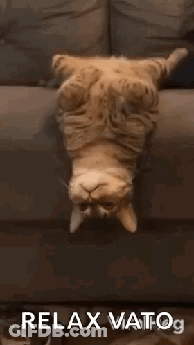 Man In White Hat Dancing GIF