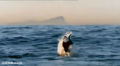 Man In White Postbank Shirt GIF