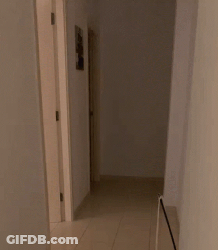 Man In White Shirt And Necklace By Bookshelf GIF