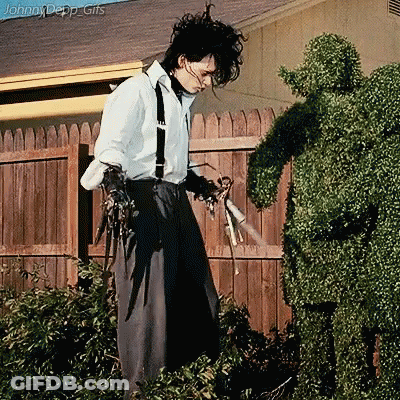 Man In White Shirt And Suspenders Near Topiary GIF