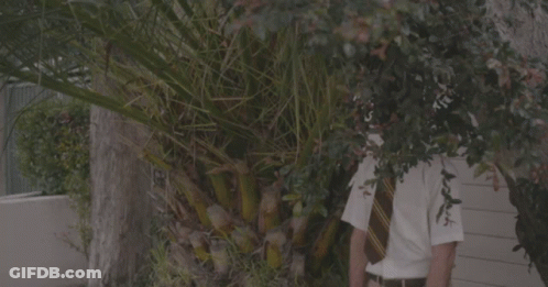 Man In White Shirt And Tie By Palm Tree GIF