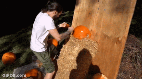 Man In White Shirt Carving Pumpkins On Hay Bale GIF