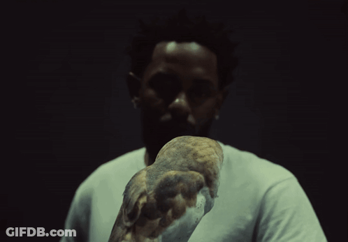 Man In White Shirt Holding Owl GIF
