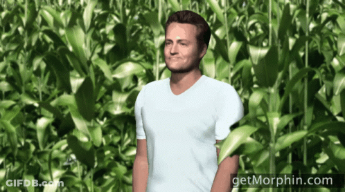 Man In White Shirt In Green Field GIF