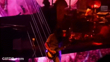 Man In White Shirt Playing Guitar GIF