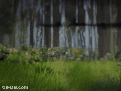 Man In White Shirt Pointing At Camera With Bullets GIF