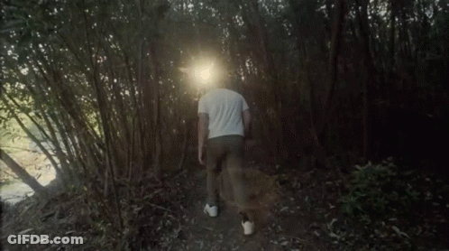 Man In White Shirt Walking Through Woods GIF