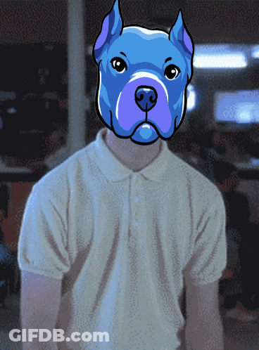 Man In White Shirt With Blue Dog Mask GIF