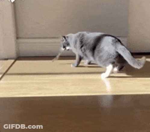Man In White Suit Dancing In Hallway With GF Sign GIF