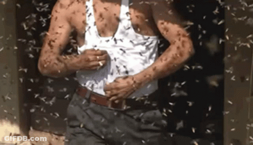 Man In White Tank Top Surrounded By Flies GIF