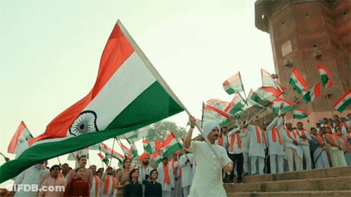 Man In White Turban Holding Flag In Crowd GIF
