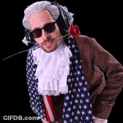 Man In Wig And Sunglasses Holding Flag GIF