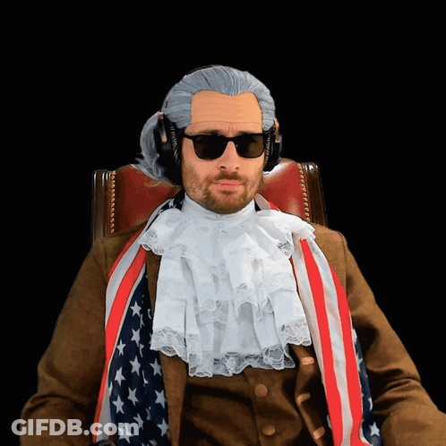 Man In Wig And Sunglasses With American Flag GIF