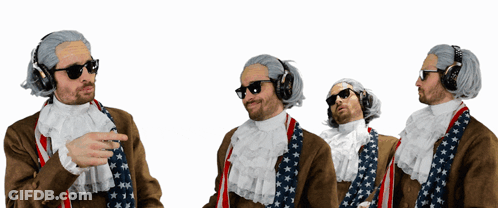 Man In Wig Sunglasses Headphones And American Flag Tie GIF