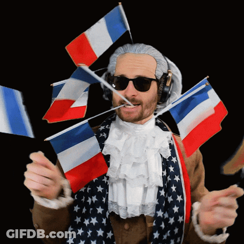 Man In Wig Sunglasses Holding French Flag In Mouth GIF