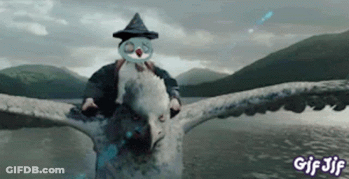 Man In Wizard Hat Riding Owl GIF