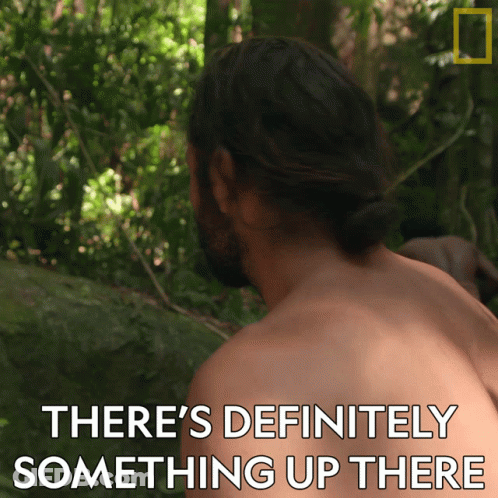Man In Woods Saying There's Definitely Something Up There GIF