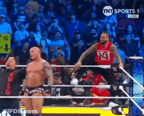 Man In Wrestling Ring With Crowd GIF