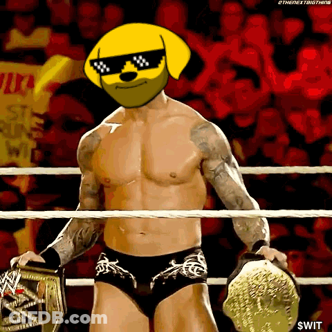 Man In Wrestling Ring With Dog Mask GIF