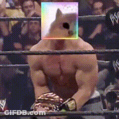 Man In Wrestling Ring With Dog On Head GIF