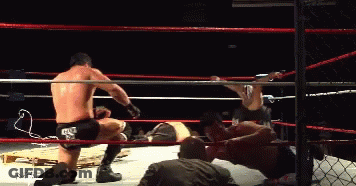Man In Wrestling Ring With Everlast Sticker GIF