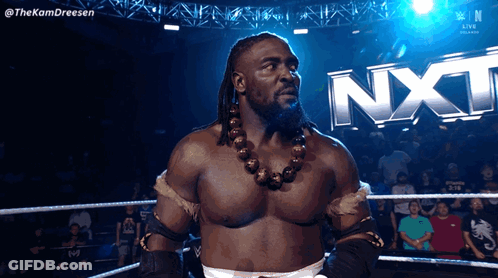 Man In Wrestling Ring With NXT GIF