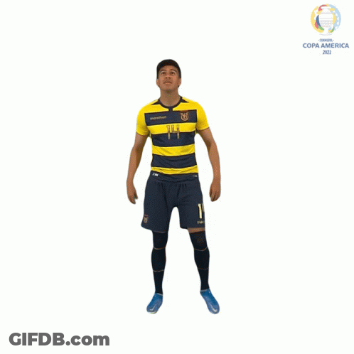 Man In Yellow And Blue Striped Shirt Copa America GIF