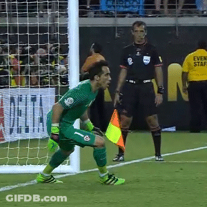 Man In Yellow Event Staff Shirt GIF