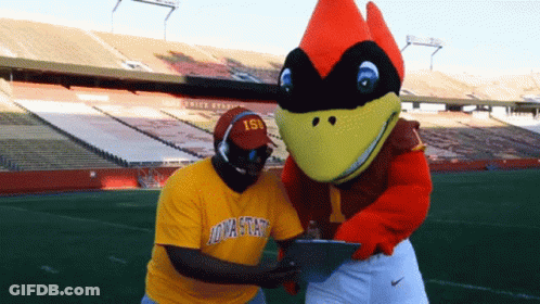 Man In Yellow Iowa State Shirt GIF