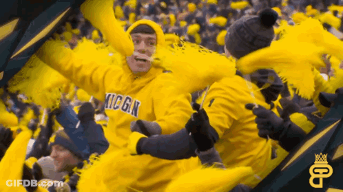 Man In Yellow Michigan Sweatshirt With Pom Poms GIF
