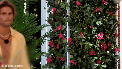 Man In Yellow Shirt Beside Flower Wall GIF