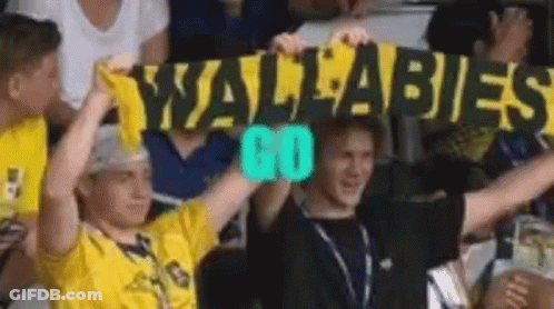 Man In Yellow Shirt Holding Wallabies Go Sign GIF