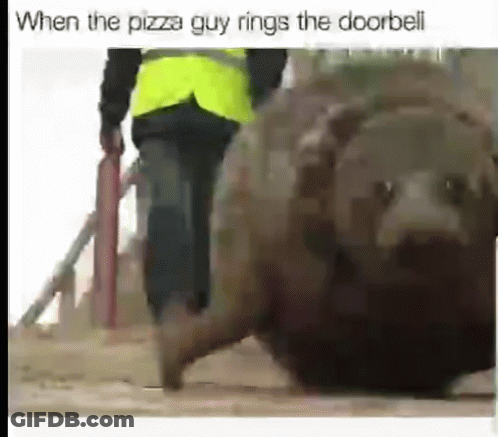 Man In Yellow Vest Walking With Bear Looking GIF