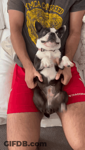 Man In YMCA Can Reed T-Shirt Holding Dog GIF