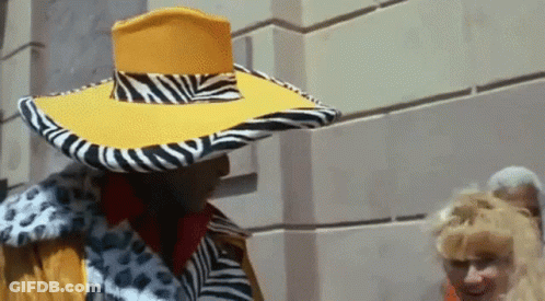 Man In Zebra Print Hat And Coat GIF