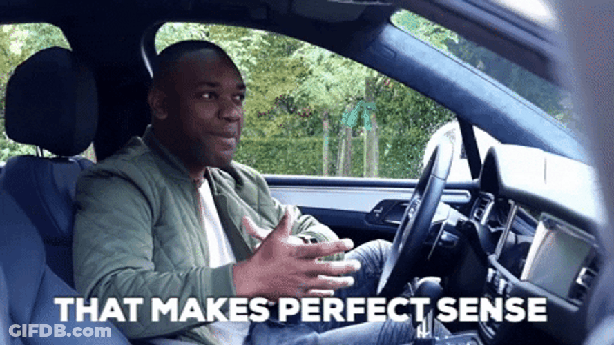 Man Inside Car True Dat That Makes Perfect Sense GIF