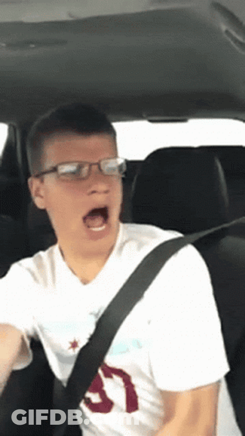 Man Inside The Car Crash GIF